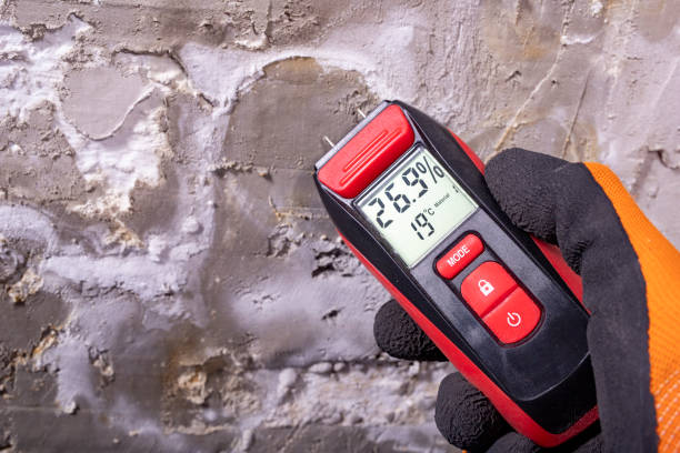 Best DIY Mold Remediation Support Services in St Augusta, MN