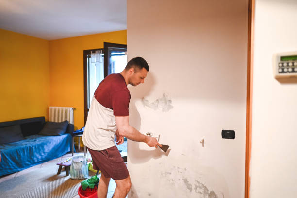 Professional Mold Remediation in St Augusta, MN